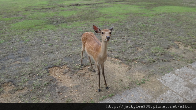 DSC01251.JPG DSC01251.JPG