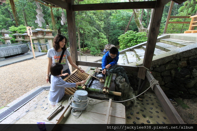 IMG_0867.JPG IMG_0867.JPG