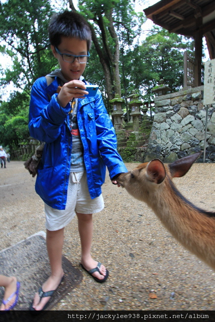 IMG_0894.JPG IMG_0894.JPG