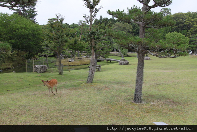 IMG_0933.JPG IMG_0933.JPG