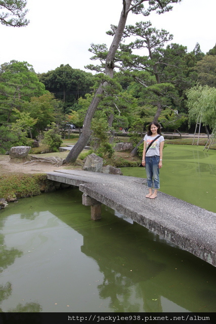 IMG_0935.JPG IMG_0935.JPG