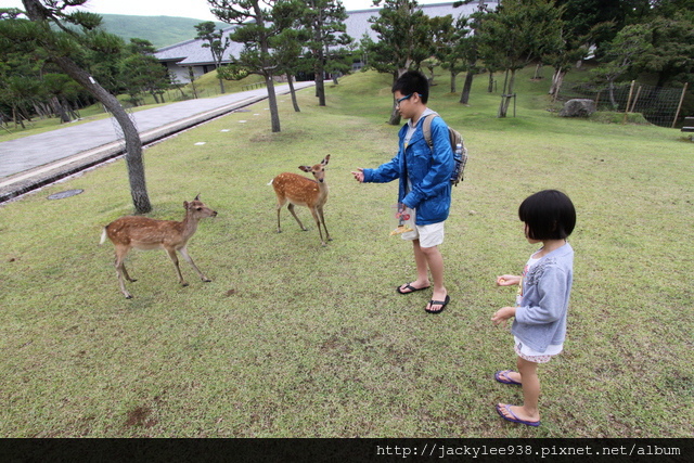 IMG_0942.JPG IMG_0942.JPG