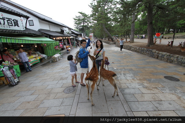 IMG_0948.JPG IMG_0948.JPG