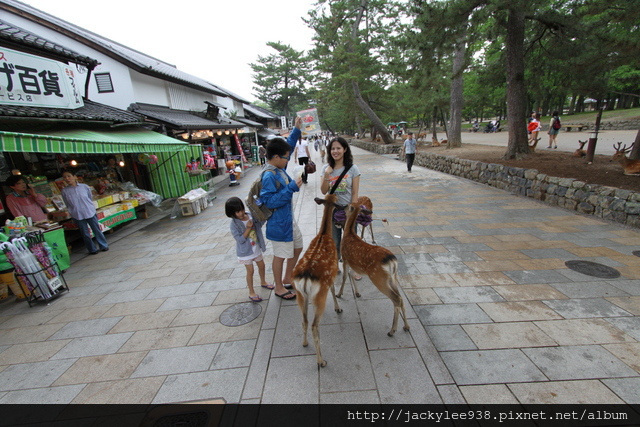 IMG_0947.JPG IMG_0947.JPG