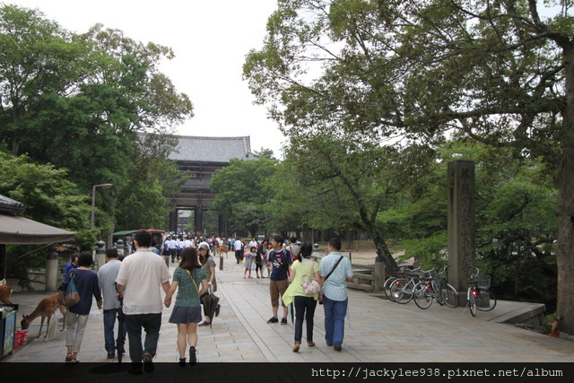 IMG_0957.JPG IMG_0957.JPG