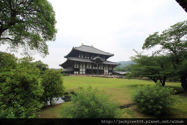 IMG_0987.JPG IMG_0987.JPG