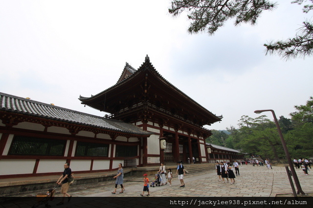 IMG_0980.JPG IMG_0980.JPG