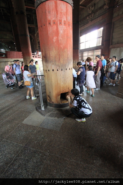 IMG_1010.JPG IMG_1010.JPG