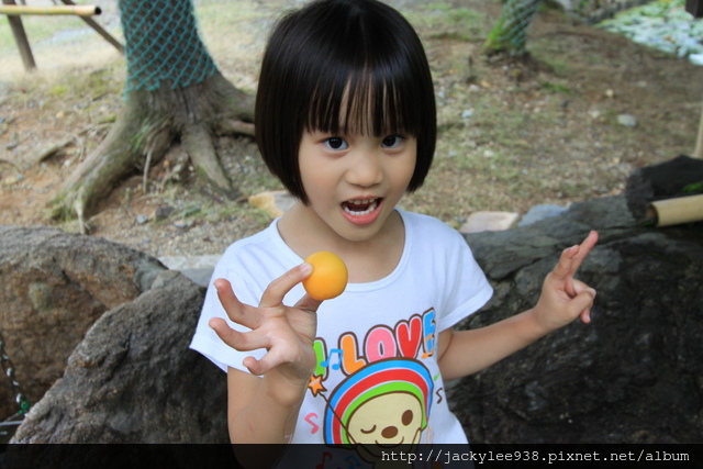 IMG_1047.JPG IMG_1047.JPG