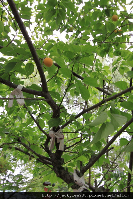 IMG_1050.JPG IMG_1050.JPG