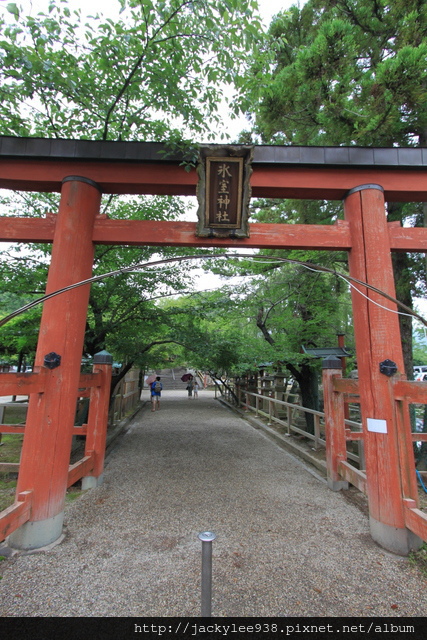 IMG_1054.JPG IMG_1054.JPG