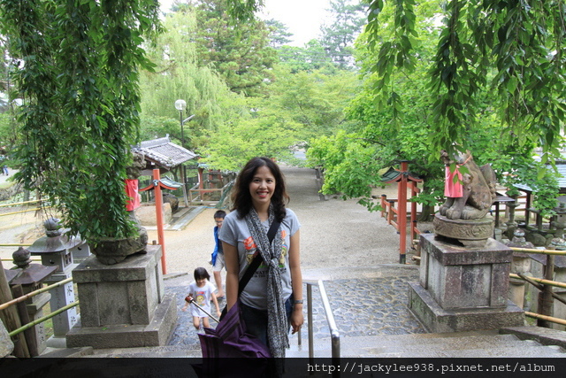 IMG_1069.JPG IMG_1069.JPG