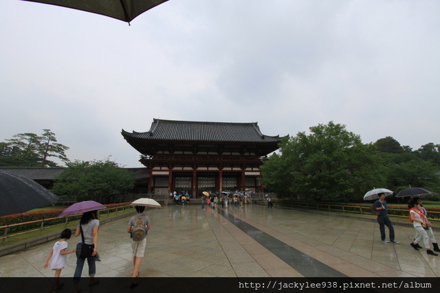 IMG_1034.JPG IMG_1034.JPG