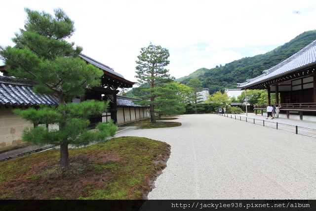 IMG_1973.JPG IMG_1973.JPG