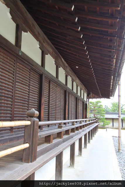 IMG_1978.JPG IMG_1978.JPG