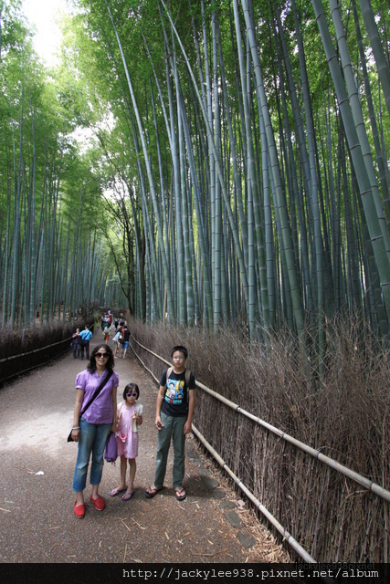 IMG_2035.JPG IMG_2035.JPG