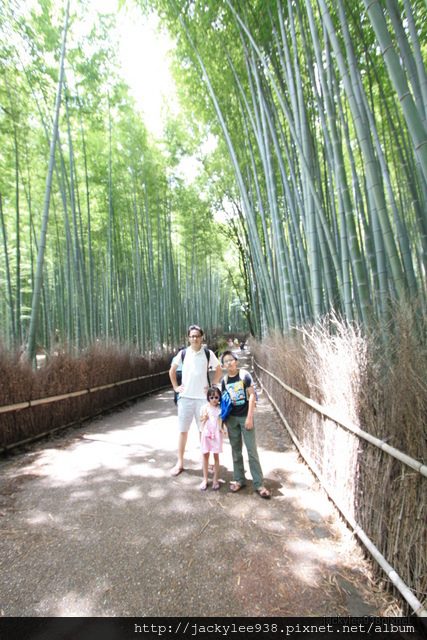 IMG_2039.JPG IMG_2039.JPG