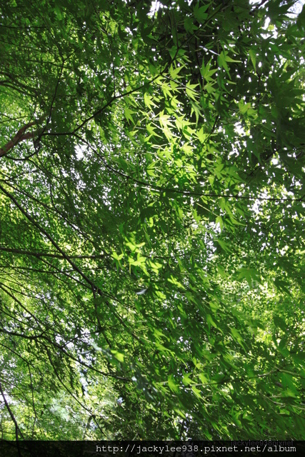 IMG_2053.JPG IMG_2053.JPG