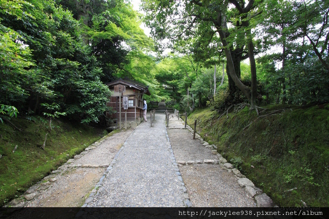 IMG_2067.JPG IMG_2067.JPG