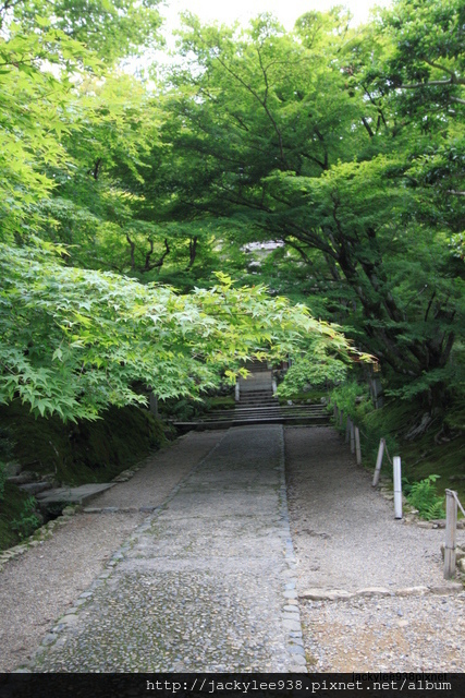 IMG_2068.JPG IMG_2068.JPG