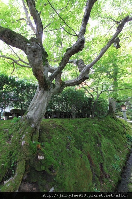 IMG_2076.JPG IMG_2076.JPG