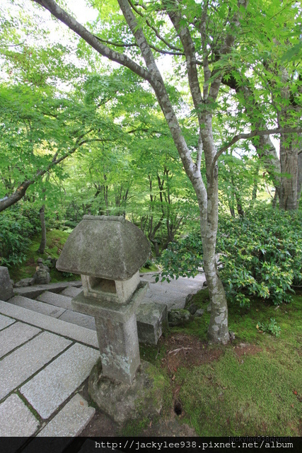 IMG_2107.JPG IMG_2107.JPG