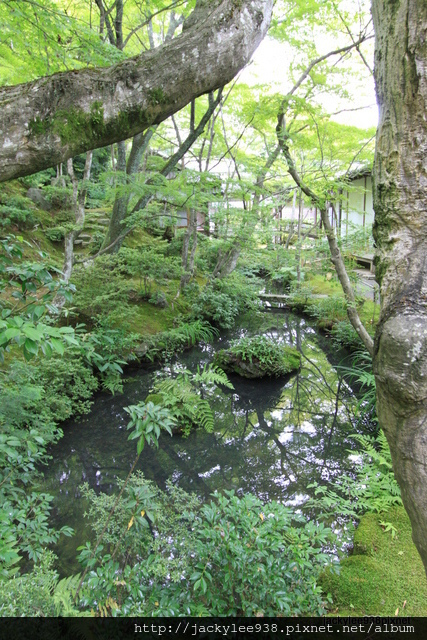 IMG_2124.JPG IMG_2124.JPG