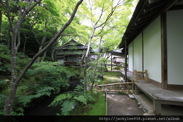 IMG_2137.JPG IMG_2137.JPG