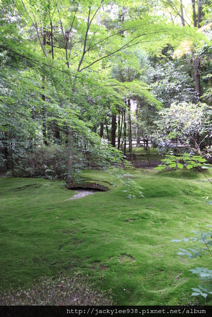 IMG_2171.JPG IMG_2171.JPG