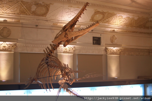 IMG_5693.JPG IMG_5693.JPG