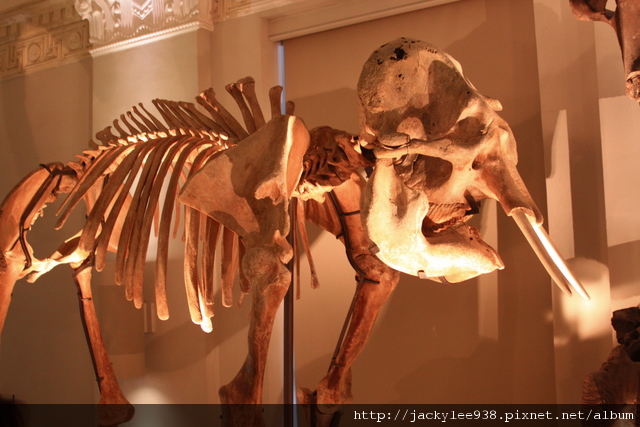 IMG_5689.JPG IMG_5689.JPG