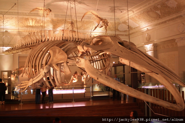 IMG_5687.JPG IMG_5687.JPG