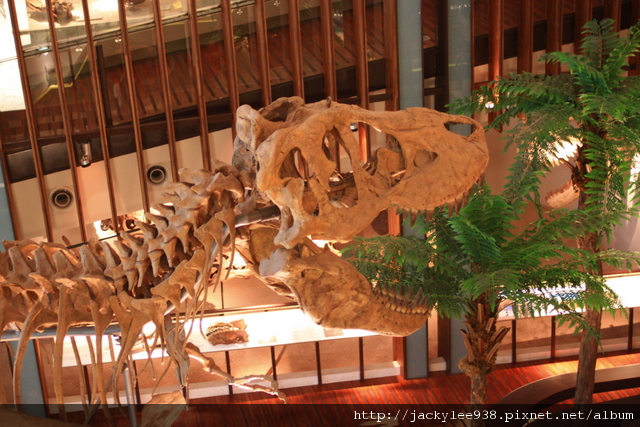 IMG_5697.JPG IMG_5697.JPG