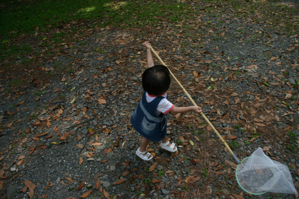 IMG_4170.bmp IMG_4170.bmp