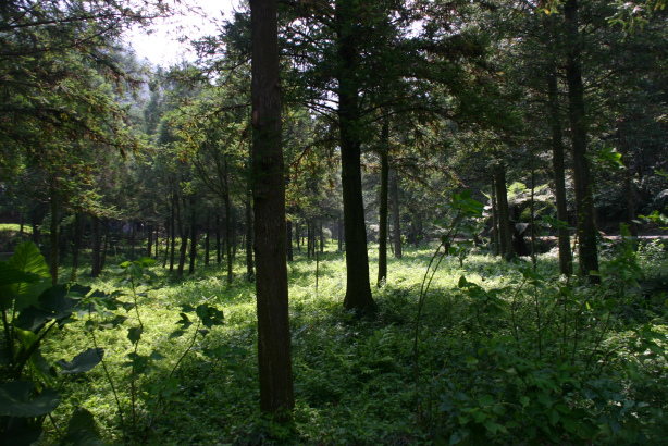 IMG_4191.bmp IMG_4191.bmp