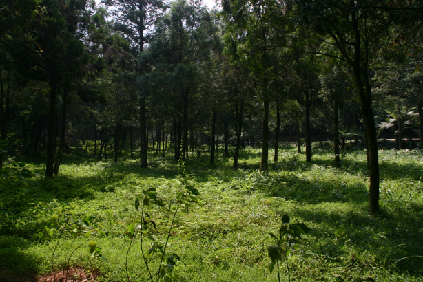 IMG_4195.bmp IMG_4195.bmp