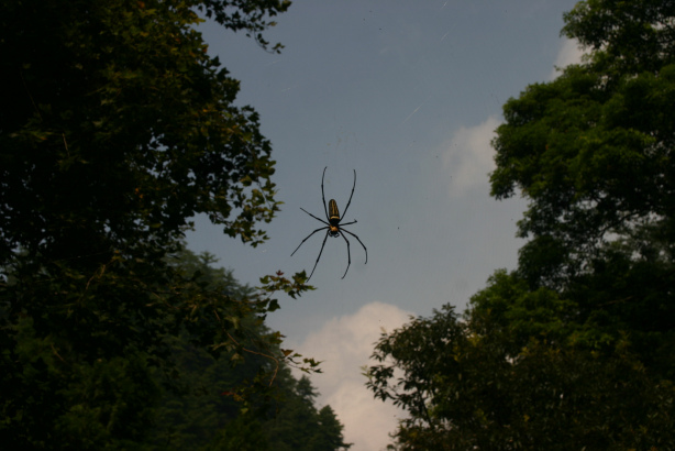 IMG_4226.bmp IMG_4226.bmp