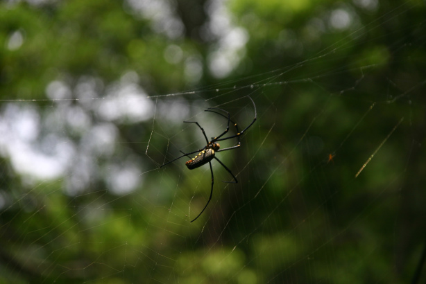 IMG_4228.bmp IMG_4228.bmp