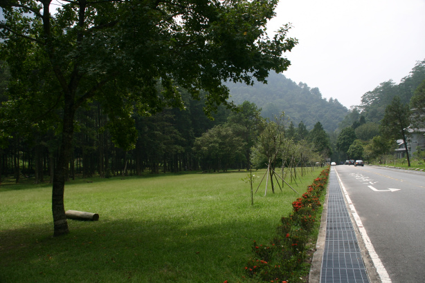 IMG_4288.bmp IMG_4288.bmp