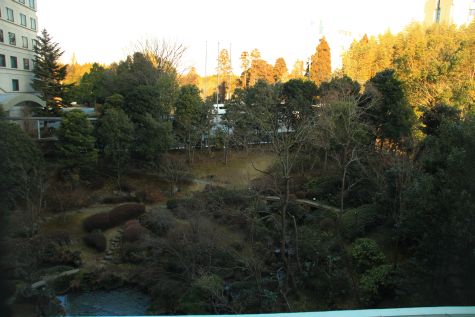 IMG_4242.jpg IMG_4242.jpg