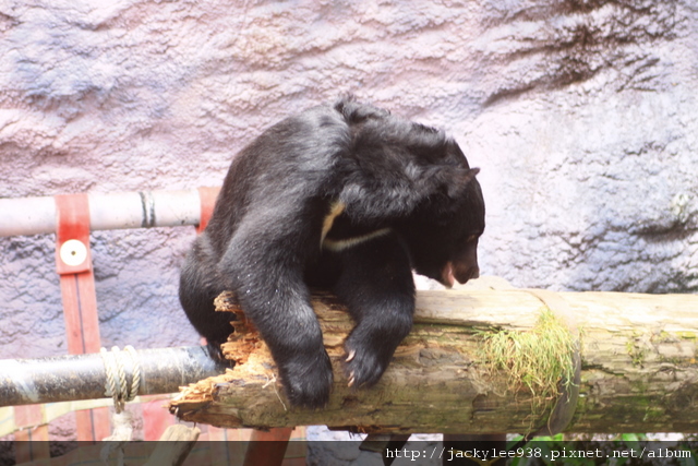 IMG_5471.JPG IMG_5471.JPG