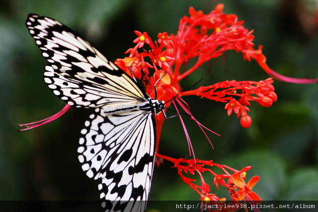 IMG_5485.JPG IMG_5485.JPG