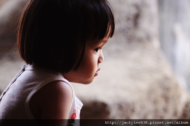 IMG_5499.JPG IMG_5499.JPG