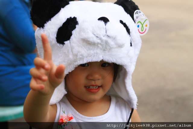 IMG_5533.JPG IMG_5533.JPG