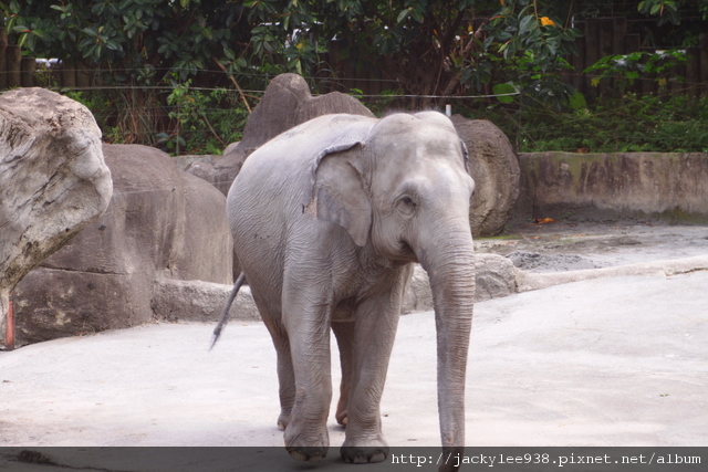 IMG_5541.JPG IMG_5541.JPG