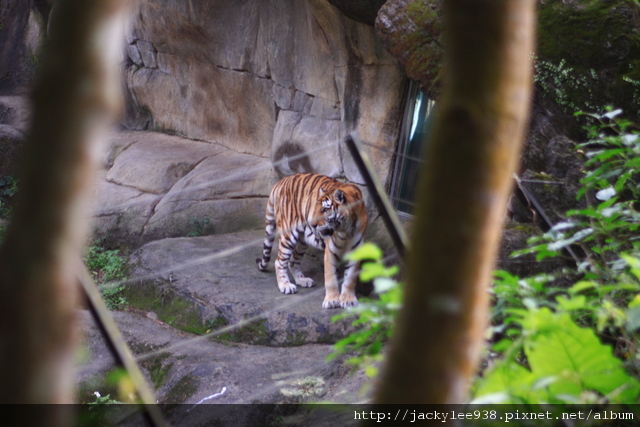 IMG_5546.JPG IMG_5546.JPG