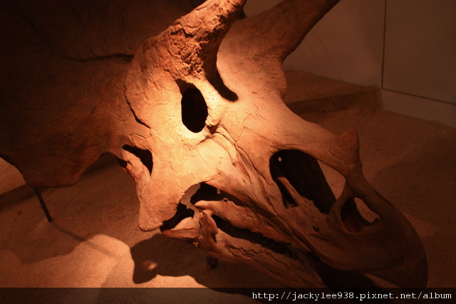 IMG_5681.JPG IMG_5681.JPG