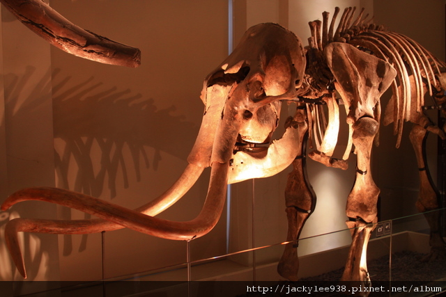 IMG_5692.JPG IMG_5692.JPG