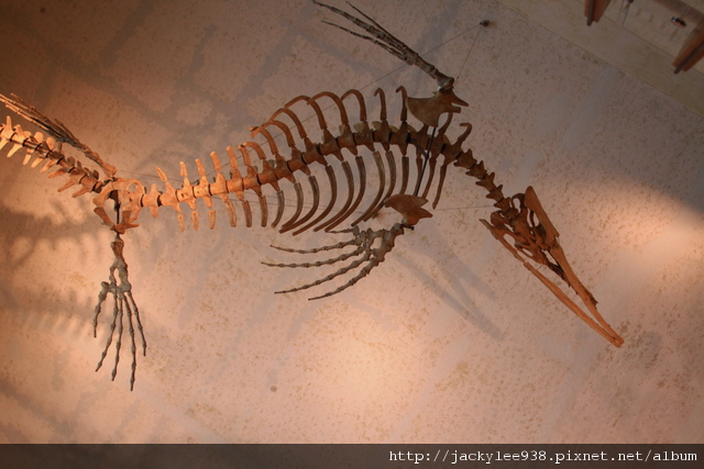 IMG_5672.JPG IMG_5672.JPG