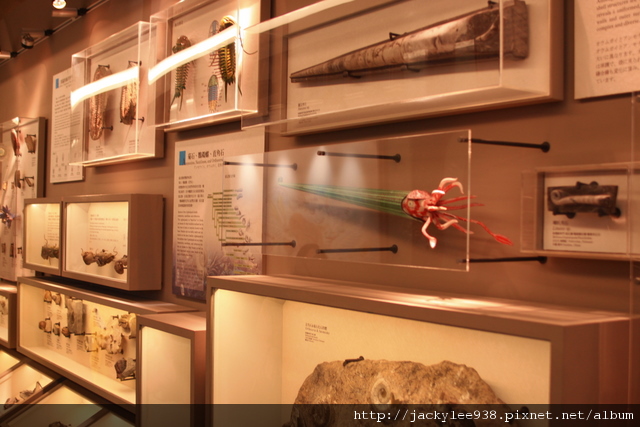 IMG_5675.JPG IMG_5675.JPG